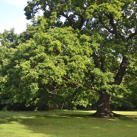 Hotel Gilwell Park Chingford Zewnętrze zdjęcie