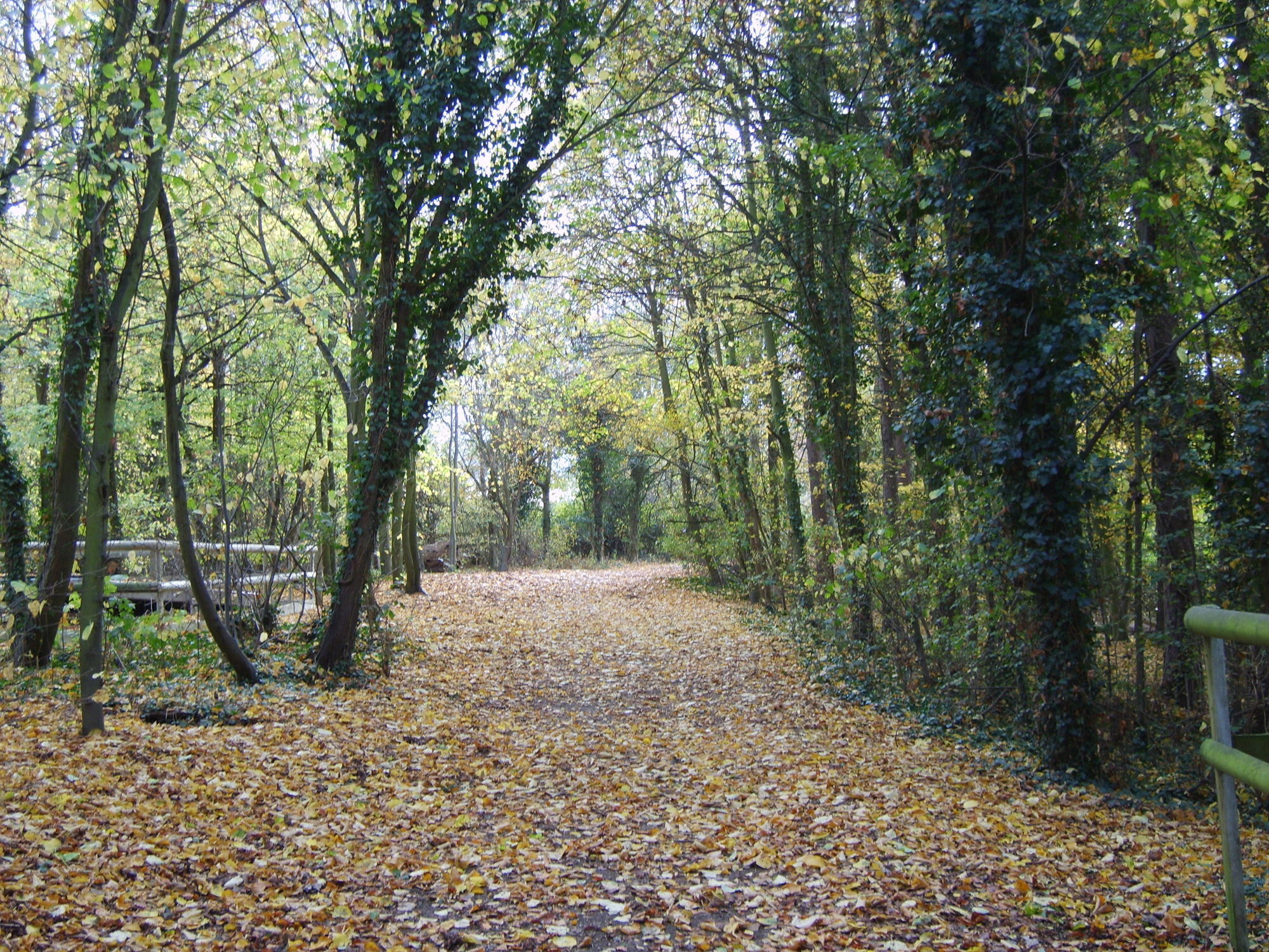 Hotel Gilwell Park Chingford Zewnętrze zdjęcie
