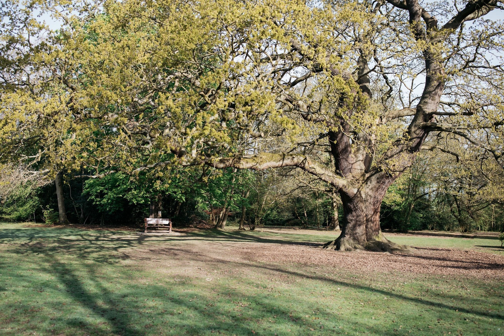 Hotel Gilwell Park Chingford Zewnętrze zdjęcie