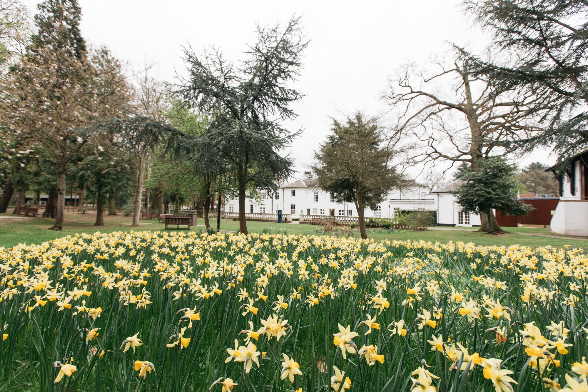 Hotel Gilwell Park Chingford Zewnętrze zdjęcie